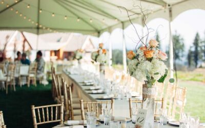 Toldos para eventos: protege a tus invitados con estilo